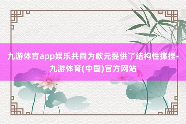 九游体育app娱乐共同为欧元提供了结构性撑捏-九游体育(中国)官方网站