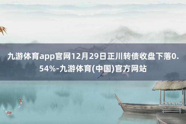 九游体育app官网12月29日正川转债收盘下落0.54%-九游体育(中国)官方网站