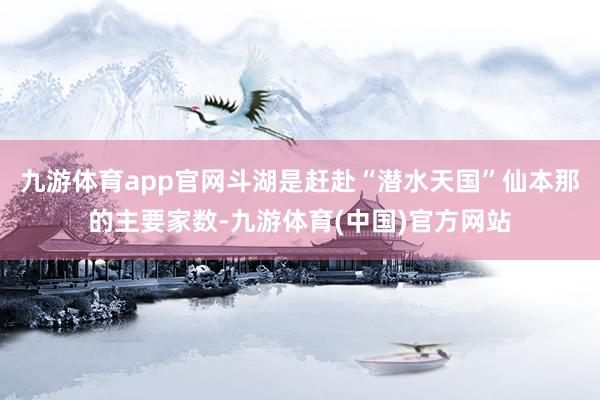 九游体育app官网斗湖是赶赴“潜水天国”仙本那的主要家数-九游体育(中国)官方网站